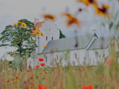 Billede af Give Kirke fra blomstermark