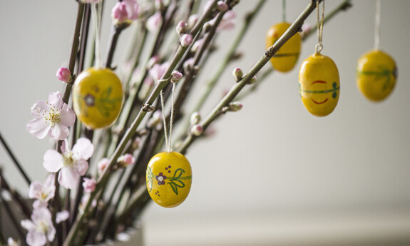Billede af grene pyntet med gule påskeæg